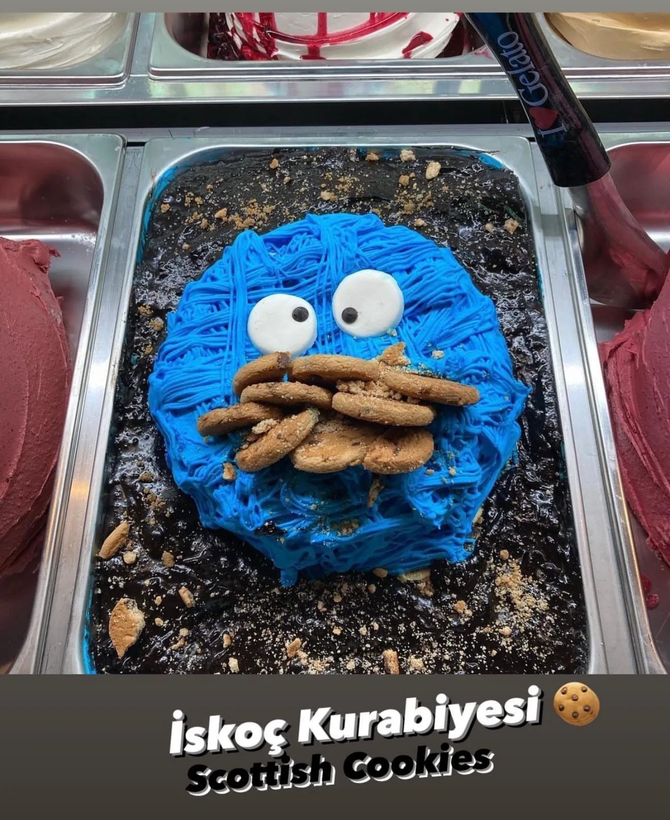 İskoç Kurabiyesi